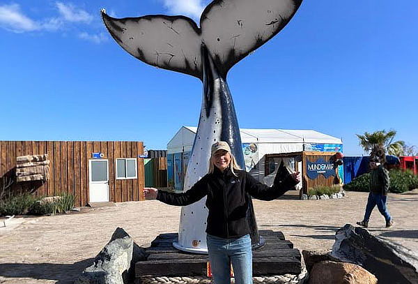 Entrada Acuario Vivamar de martes a domingo 