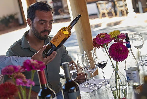 Tour del vino ícono