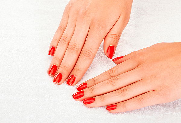 La Peluquería: Manicure + Pedicure Permanente