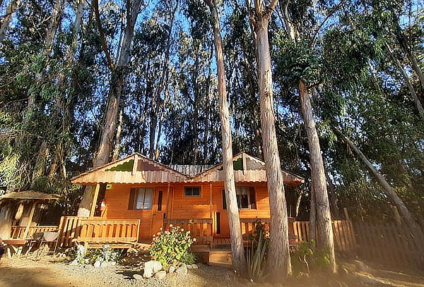 Isla Negra: Escapada Antiestres para 2