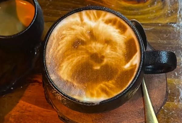 Imprime tu foto en el Café! en Encanto, El Eje Cafetero