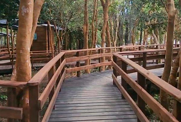 Isla de Chiloé, Termas de Cochamó Salida Enero y Febrero