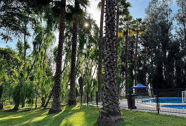 Camping Vista al Cerro:  Entrada piscina dia elección