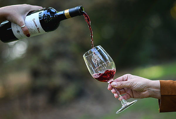 Para 2 Wine Tour tradicional Viña Cousiño Macul,Peñalolén