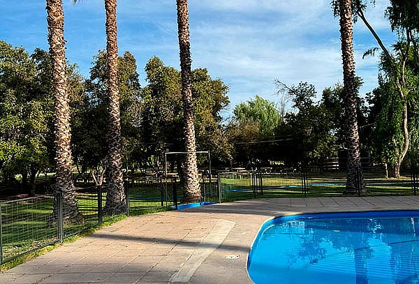 Camping Vista al Cerro:  Entrada piscina dia elección