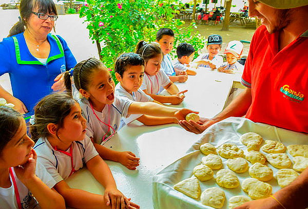 Entrada a Granja + Piscina en Granja Educativa 