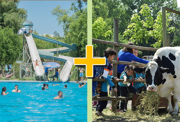 Entrada a Granja + Piscina en Granja Educativa 