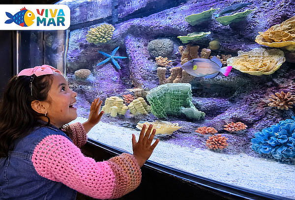 Entrada Niño Acuario Vivamar de martes a domingo 