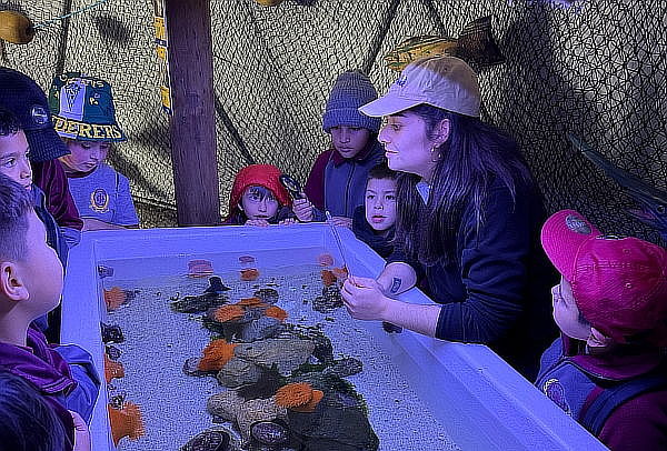 Entrada Adulto Acuario Vivamar de martes a domingo 