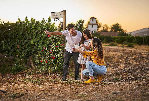 Búsqueda del Mapa del Tesoro en Viña Valle Secreto