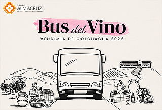 ¡Descubre la Vendimia de Colchagua con el Bus del Vino!