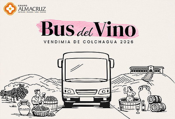 ¡Descubre la Vendimia de Colchagua con el Bus del Vino!