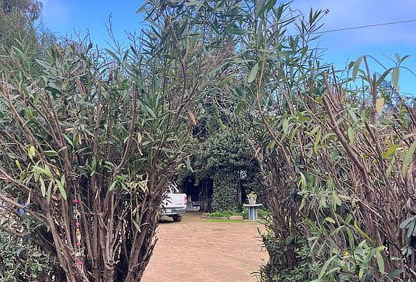 1 o 2 Noches en Cabaña Eclipse para 4 personas