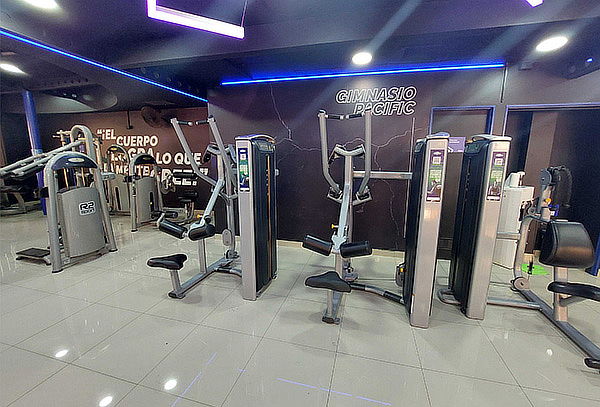 Plan Trimestral Sucursal Única en Upgrade 