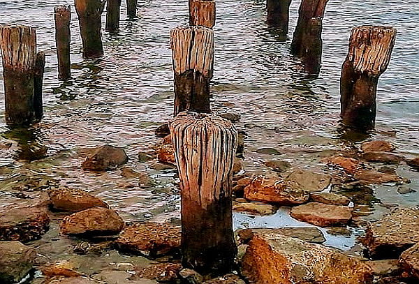 2x1 Torres del Paine con Ticket Aéreo Salida 19 de febrero