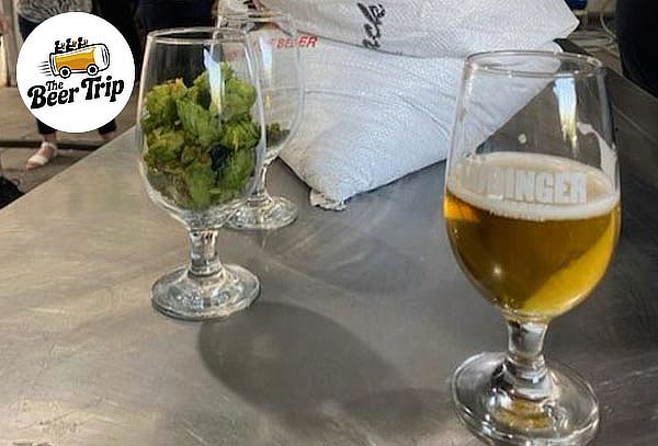 Tour cervecero: visita a 2 Cervecerías + Degustación
