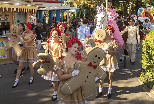 Entrada Fantasilandia Sábados. domingos y festivos
