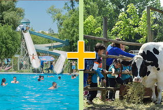 Entrada a Granja + Piscina en Granja Educativa 