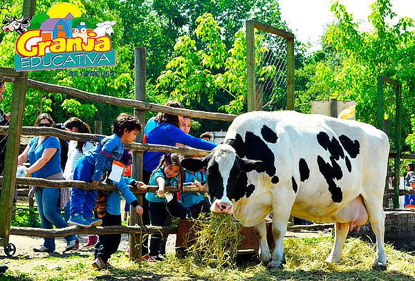 Entrada a Granja + Piscina en Granja Educativa 