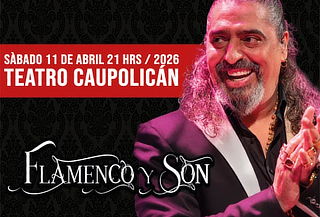 Diego el Cigala:  Entrada Platea general 11 de Abril 