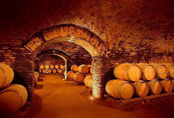 Visita Guiada o Experiencia Marques en Viña Concha y Toro