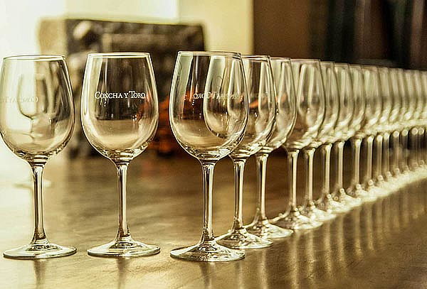 Visita Guiada o Experiencia Marques en Viña Concha y Toro