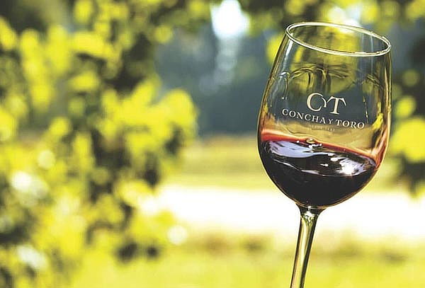 Visita Guiada o Experiencia Marques en Viña Concha y Toro