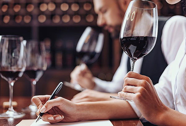 Visita Guiada o Experiencia Marques en Viña Concha y Toro