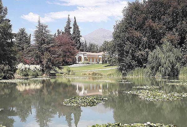 Visita Guiada o Experiencia Marques en Viña Concha y Toro