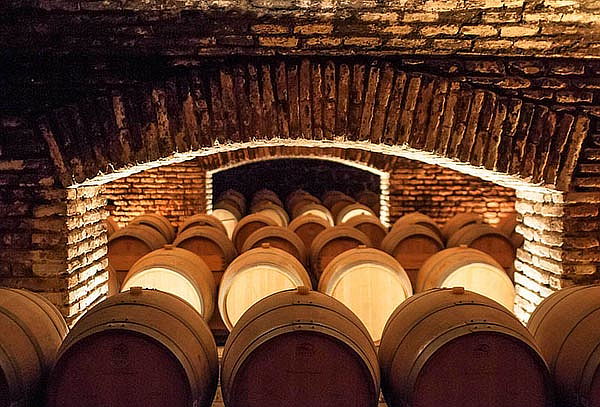 Visita Guiada o Experiencia Marques en Viña Concha y Toro