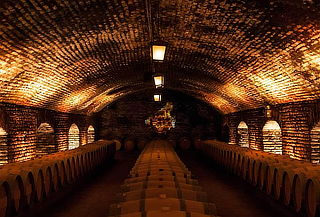 Visita Guiada o Experiencia Marques en Viña Concha y Toro