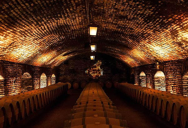Visita Guiada o Experiencia Marques en Viña Concha y Toro