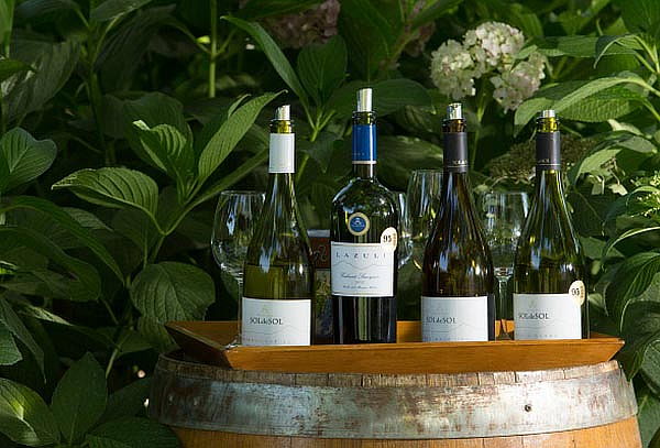 Tour de Vinos Aquitania a elección para 1 o 2 personas