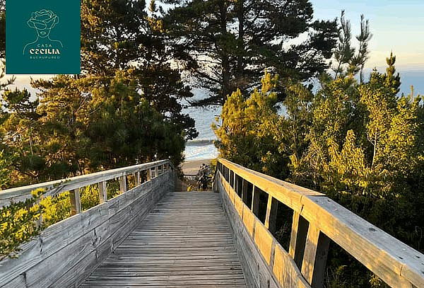 Casa Cecilia Buchupureo 1 noches en departamento Pullay 