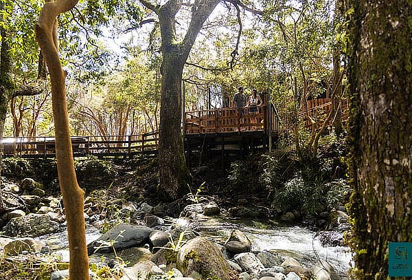 Tickets de Lunes a Domingo en Termas Cochamó 