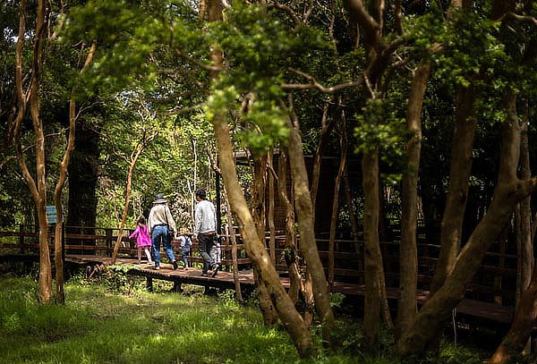 Tickets de Lunes a Domingo en Termas Cochamó 