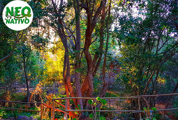 Alojamiento para 2 Personas en Neo Nativo Parque la Campana