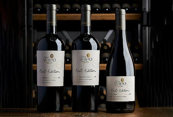 Búsqueda del Mapa del Tesoro en Viña Valle Secreto