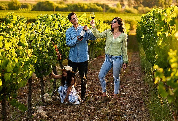 Búsqueda del Mapa del Tesoro en Viña Valle Secreto