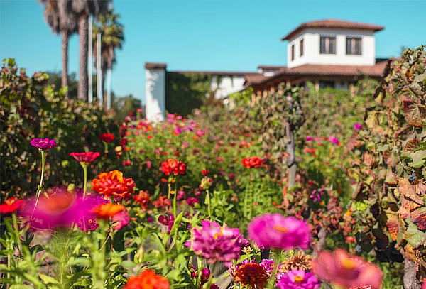 Tour Vino y Sabores cata de 2 Súper Premium 1 Reserva+Snacks