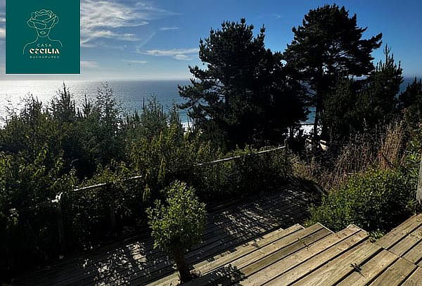 Casa Cecilia Buchupureo 1 noches en Loft Sirena