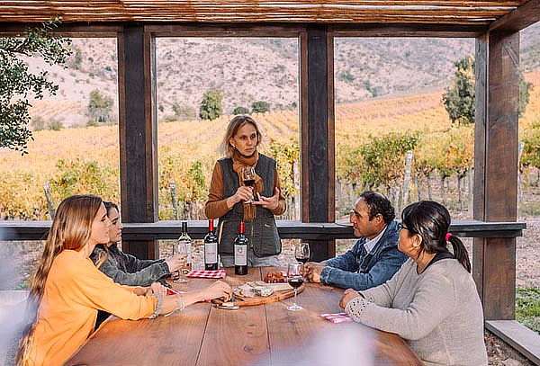 Momento Degustación en Viña Encierra ¡Escápate a Colchagua!