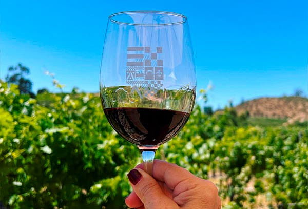 Momento Degustación en Viña Encierra ¡Escápate a Colchagua!