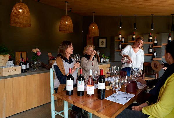 Momento Degustación en Viña Encierra ¡Escápate a Colchagua!