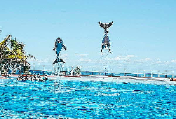 6D/5N en Grand Sirenis PUNTA CANA para dos + 2 Menores