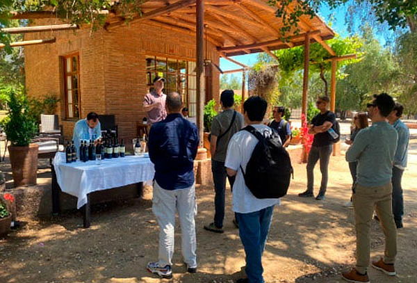  Tours Viña Tres Palacios , Degustación o Opción Almuerzo 