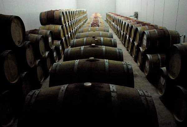  Tours Viña Tres Palacios , Degustación o Opción Almuerzo 