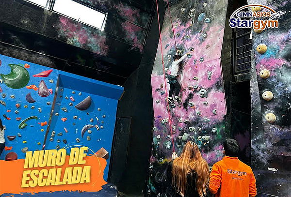8 Clases de Muro de escalada para Niños