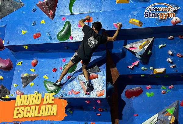 8 Clases de Muro de escalada para Niños