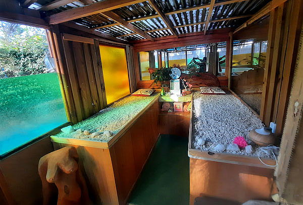 Pinares del Mar, Isla Negra: Día de Spa para 2